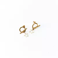 Aretes estilo topo con estrella