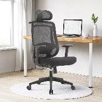 Silla ergonómica Icon