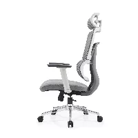 Silla ergonómica Gary blanco