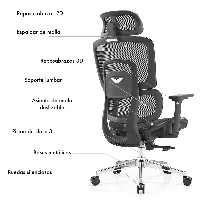 Silla ergonómica Gary Plus