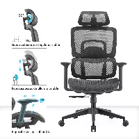 Silla ergonómica Gary Plus