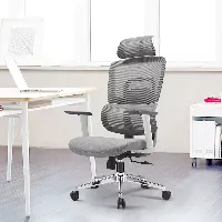 Silla ergonómica Gary blanco