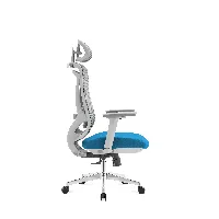 Silla ergonómica Icon