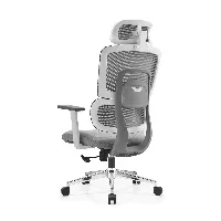 Silla ergonómica Gary blanco